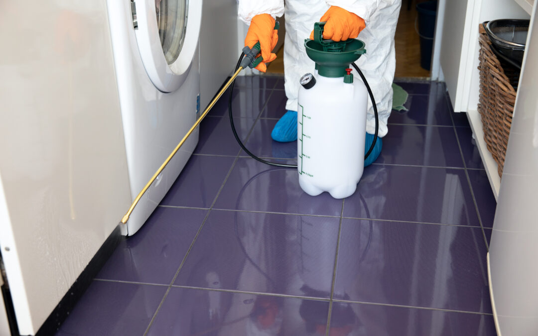 Valuation for Buying a Pest Control Company