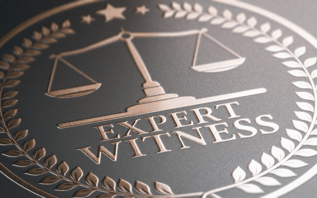 Expert Witness for a Litigation Support Valuation