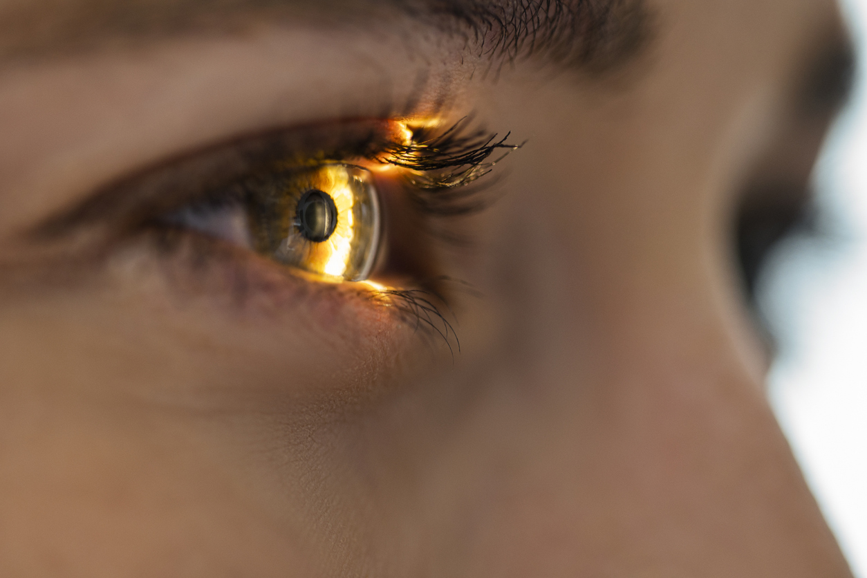 Light Beam Is Shining Through Retina And Lens On Eyesight Exam