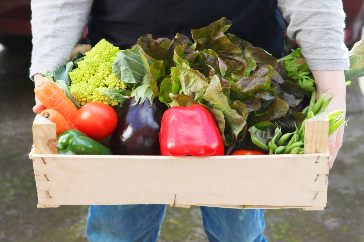 Vegetable Box