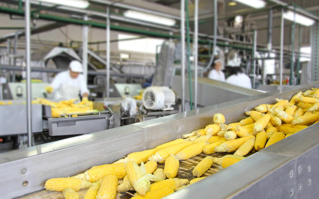 Food Processing Equipment Appraisal