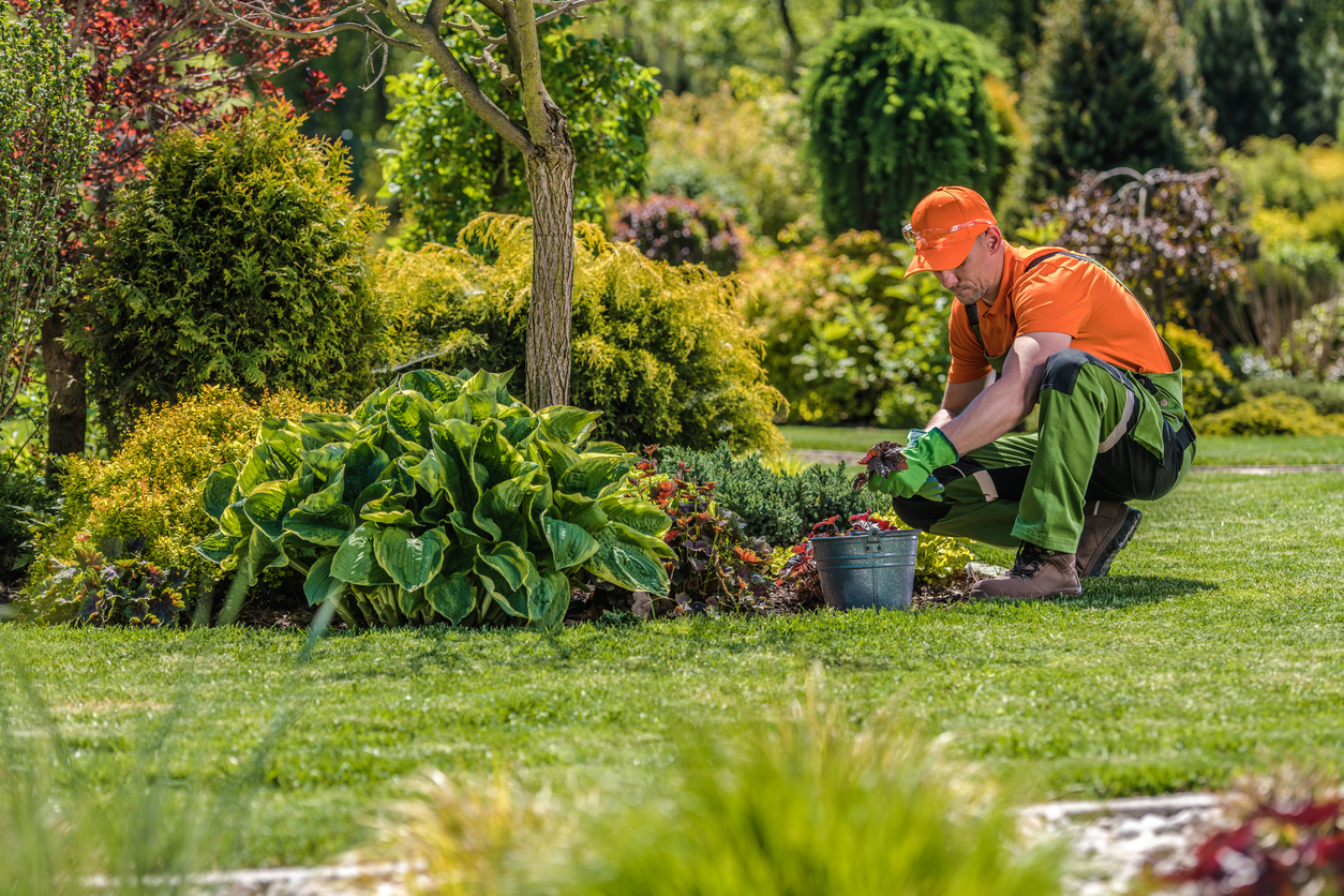 Professional Garden Worker
