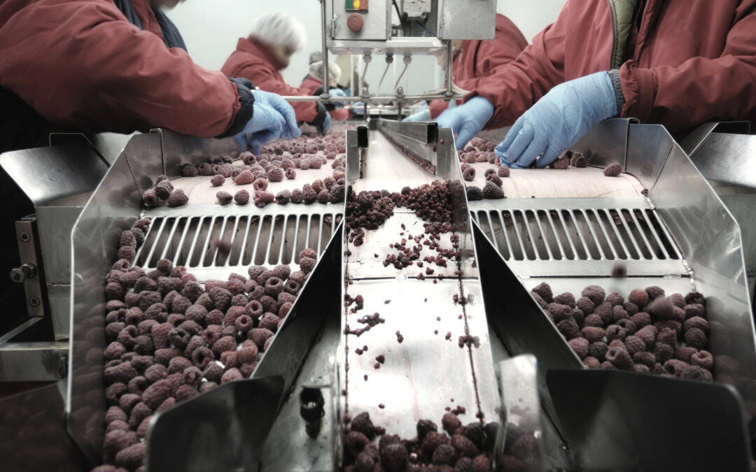 Obtaining a Food Processing Equipment Appraisal