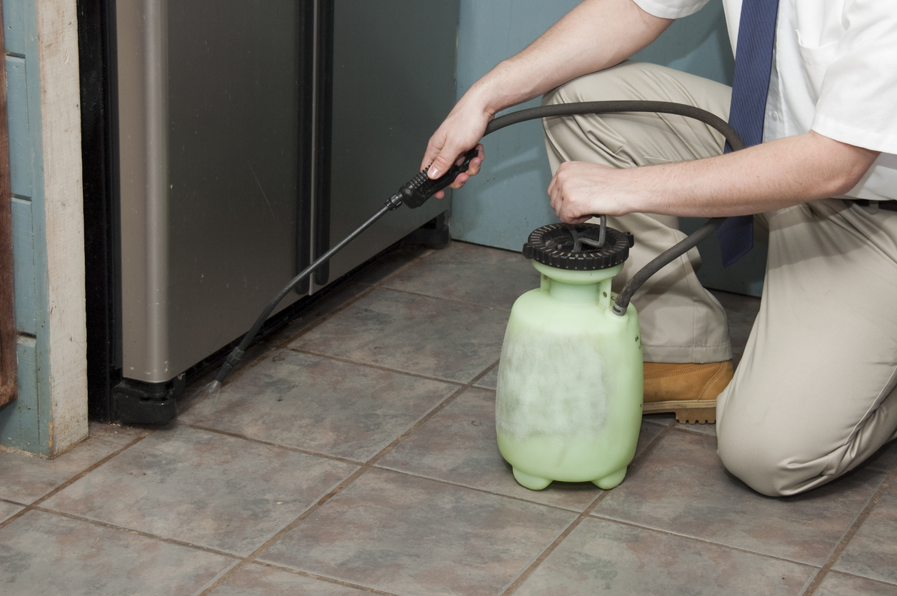 Exterminator Spraying The Interior Baseboards Of A House