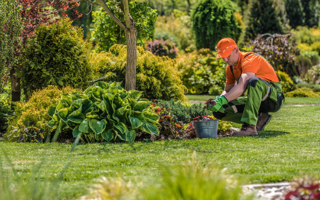 Valuation Multiples for a Landscaping Company