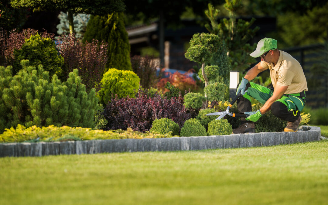 Value Drivers for a Landscaping Company