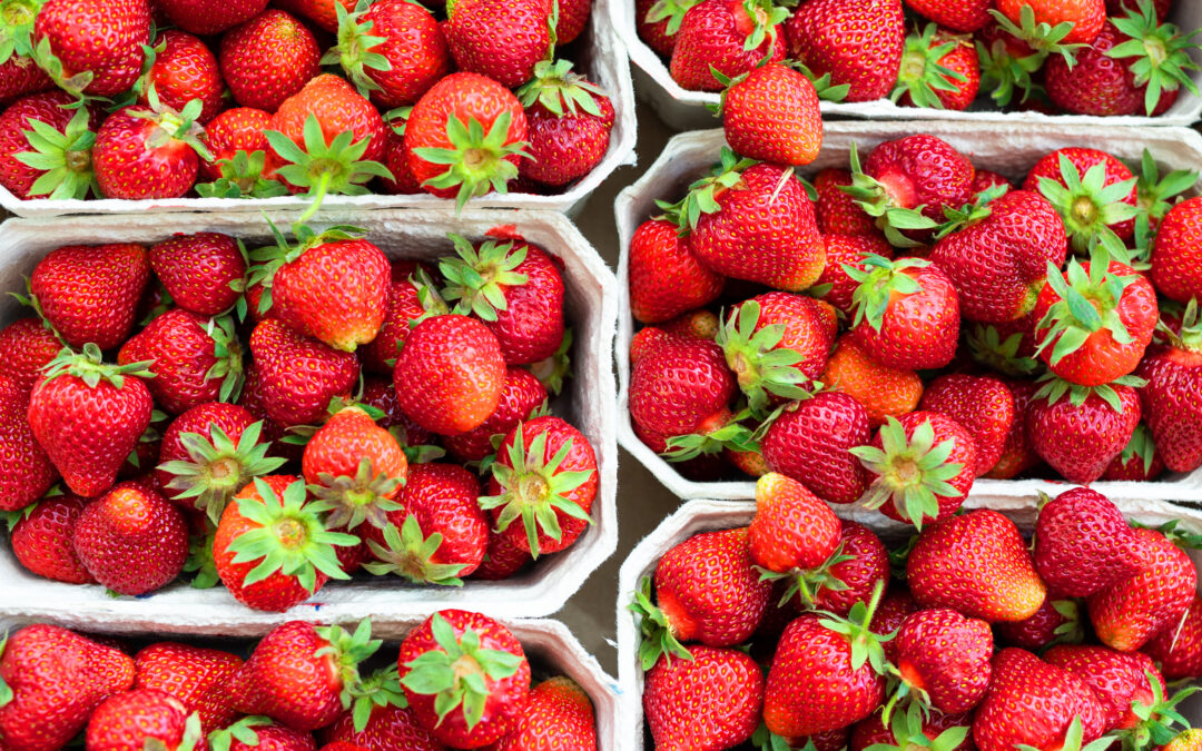 Valuing a Food Distributor