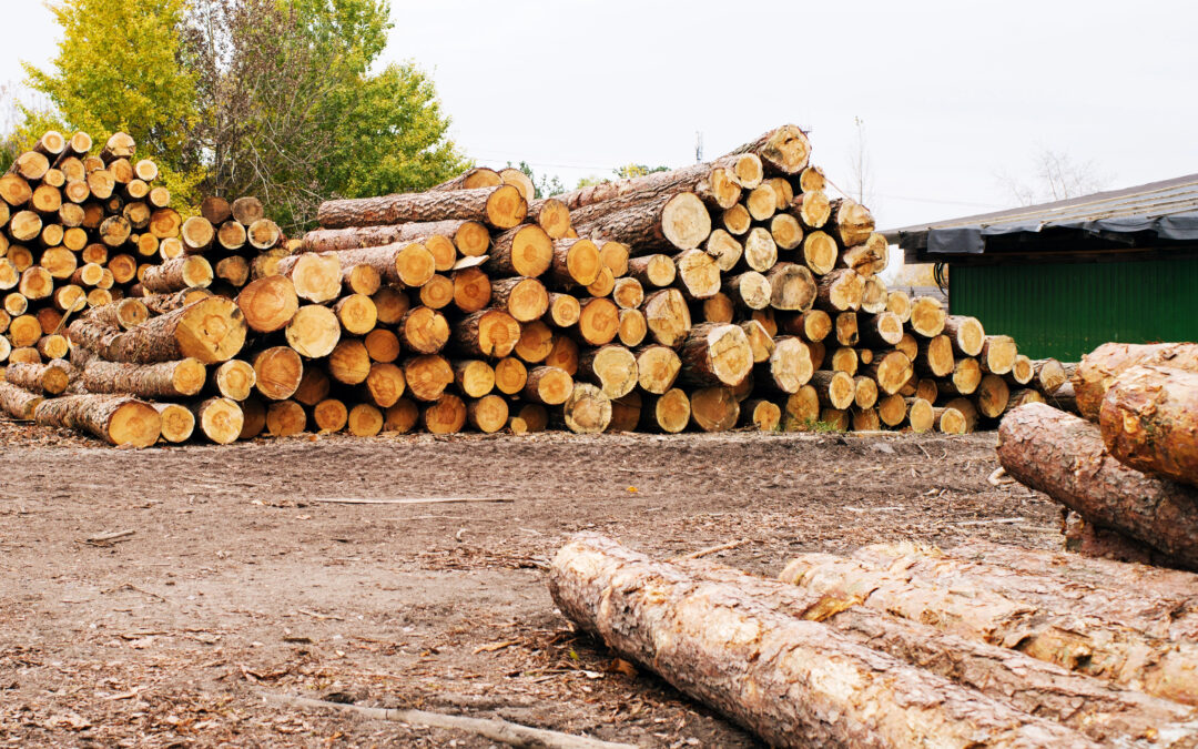 Valuing a Lumber Wholesale Company