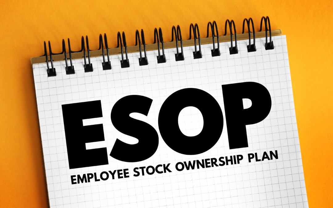 Avoiding Mistakes with ESOP Valuations