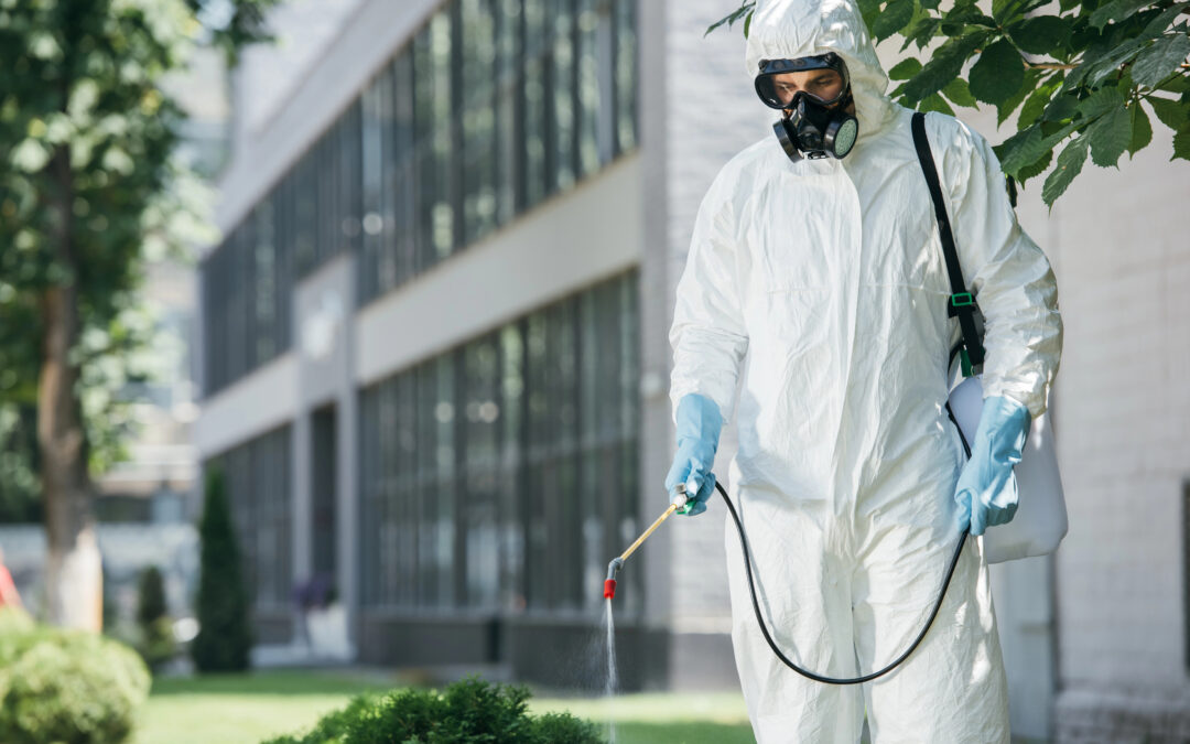 Valuation for Selling a Pest Control Company