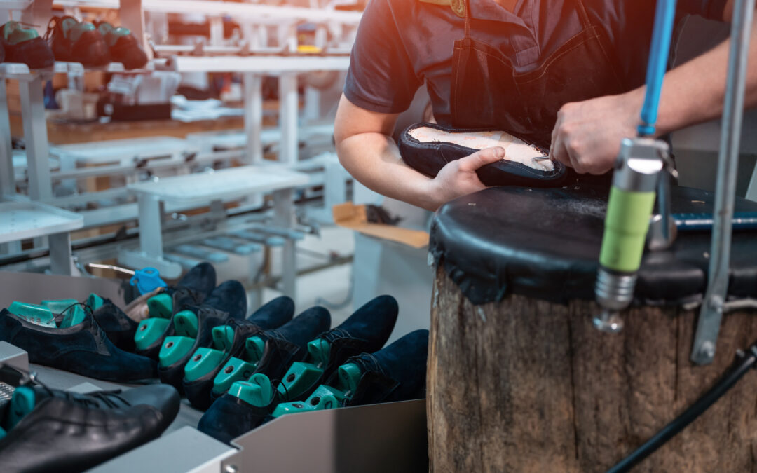 Business Valuation for Selling a Shoe and Footwear Manufacturing Business