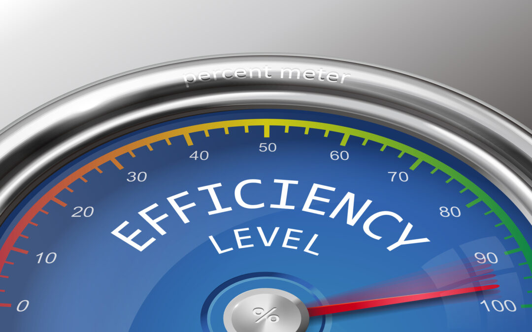 The Value of Efficiency Ratios
