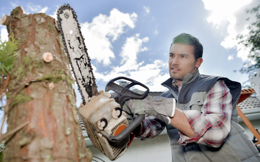 Tree Service Equipment Appraisal