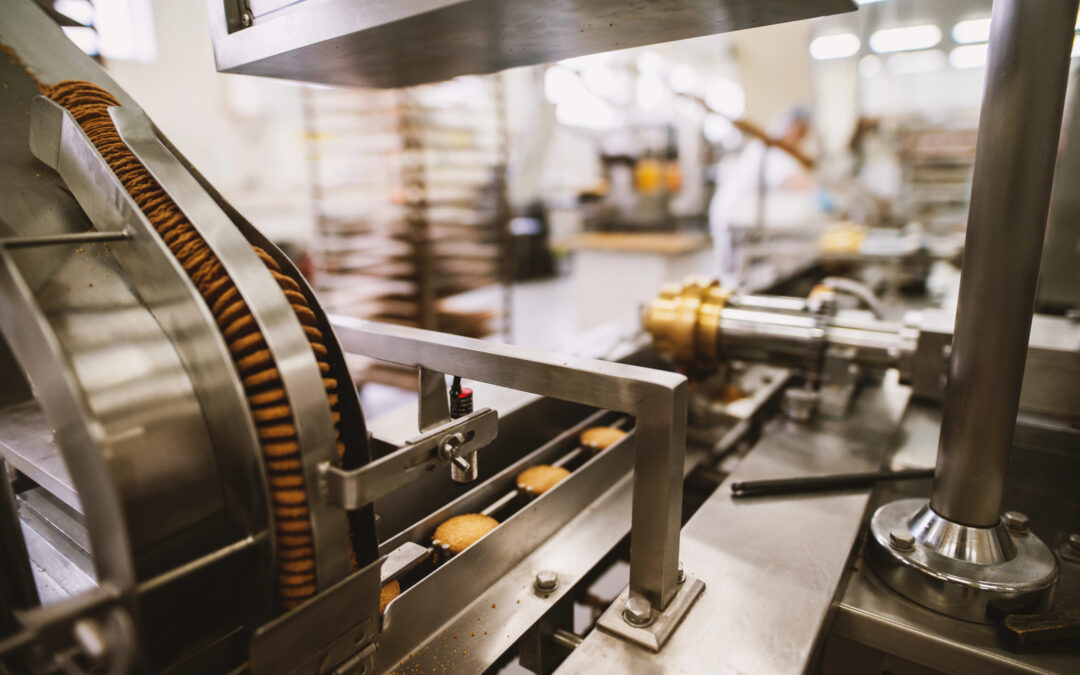 Valuation Multiples for a Food Manufacturing Business