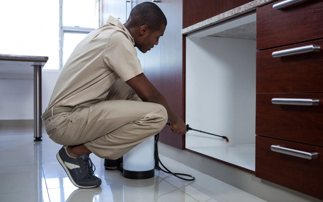 Valuation Multiples for a Pest Control Business