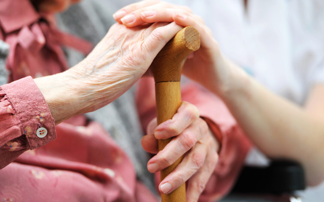 Value Drivers for a Personal Care Service Company