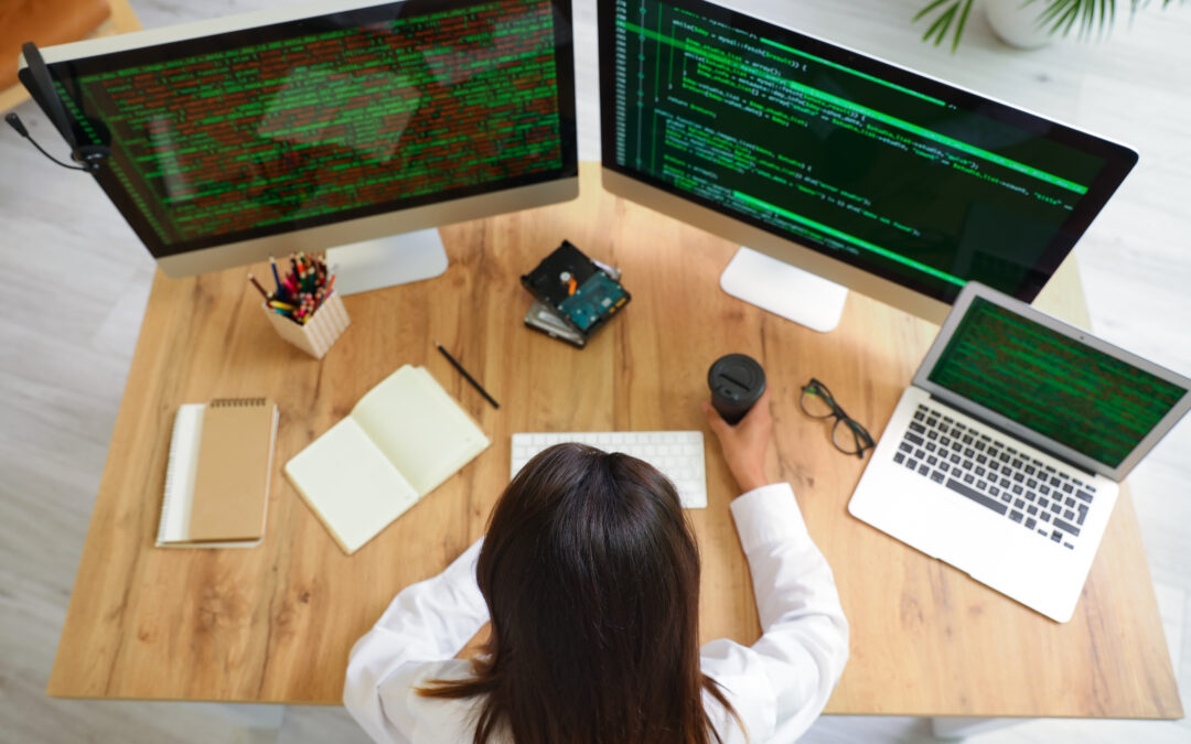 Value Drivers for a Software Publishing Business