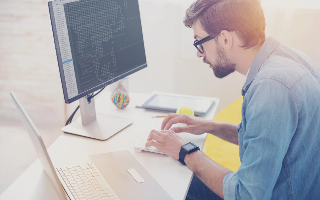 Valuing a Software Publishing Business