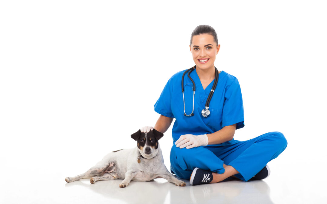 Valuing a Veterinary Clinic