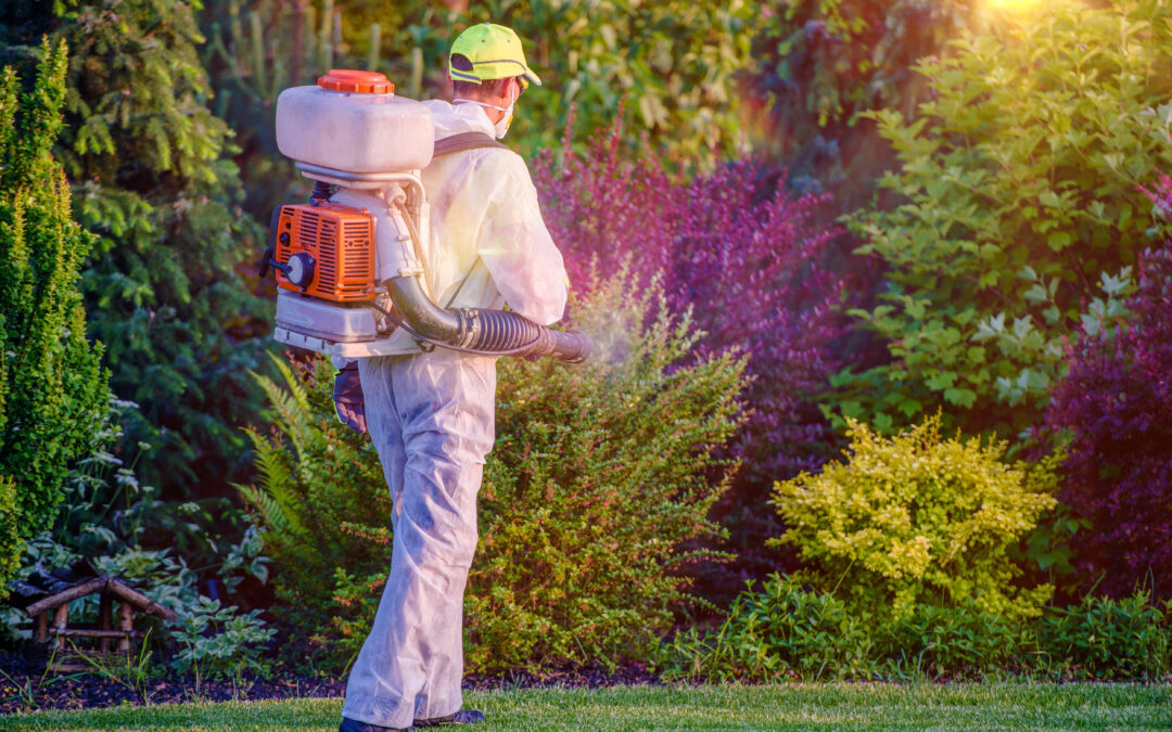 Valuing Your Pest Control Business
